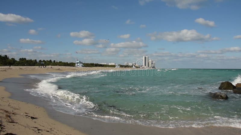 Miami plaży Floryda brzeg