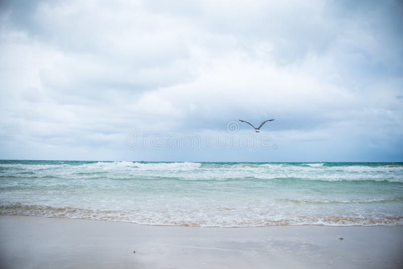 Miami południe plaży krajobraz zdjęcie stock Miami południe plaży krajobraz zdjęcie stock
