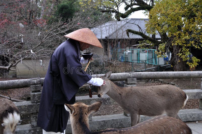 A Japanese monk dressed in monks robes and a traditional straw hat takes a break and pats the head of a deer that has come up to him. Can be used to illustrate concepts of 'compassion' and 'benevolence'. A Japanese monk dressed in monks robes and a traditional straw hat takes a break and pats the head of a deer that has come up to him. Can be used to illustrate concepts of 'compassion' and 'benevolence'.