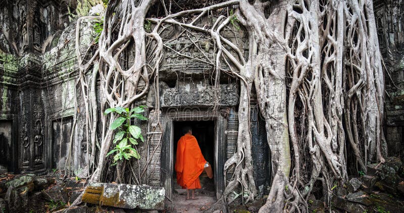 Monk in Angkor Wat Cambodia. Ta Prohm Khmer ancient Buddhist temple in jungle forest. Famous landmark, place of worship and popular tourist travel destination in Asia. Monk in Angkor Wat Cambodia. Ta Prohm Khmer ancient Buddhist temple in jungle forest. Famous landmark, place of worship and popular tourist travel destination in Asia.