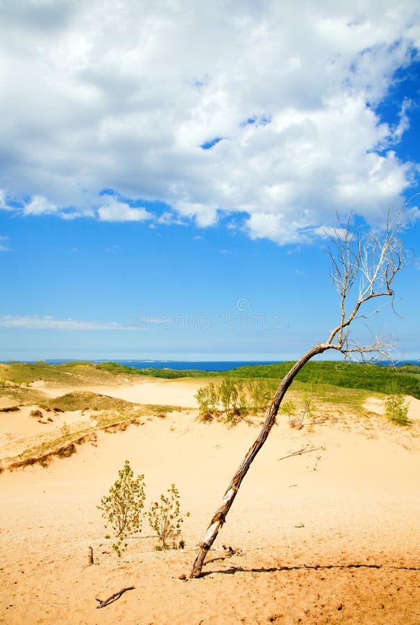 Michigan dunes