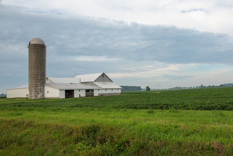 Michigan farm stock image. Image of silo, michigan, barn 74768667