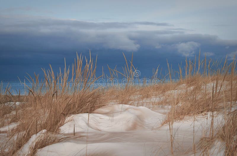 Michigansee im Winter. Dünengras-Schneesand.