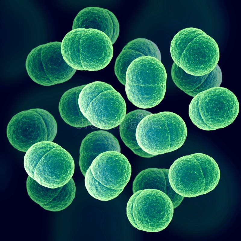 microbes des germes 3d magnifiés illustration stock microbes des germes 3d magnifiés illustration stock