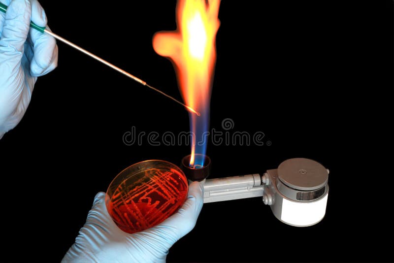 Microbiologia imagem de stock Microbiologia imagem de stock