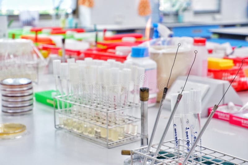 Microbiology Laboratory Stock Photos Download 59,523 Royalty Free Photos
