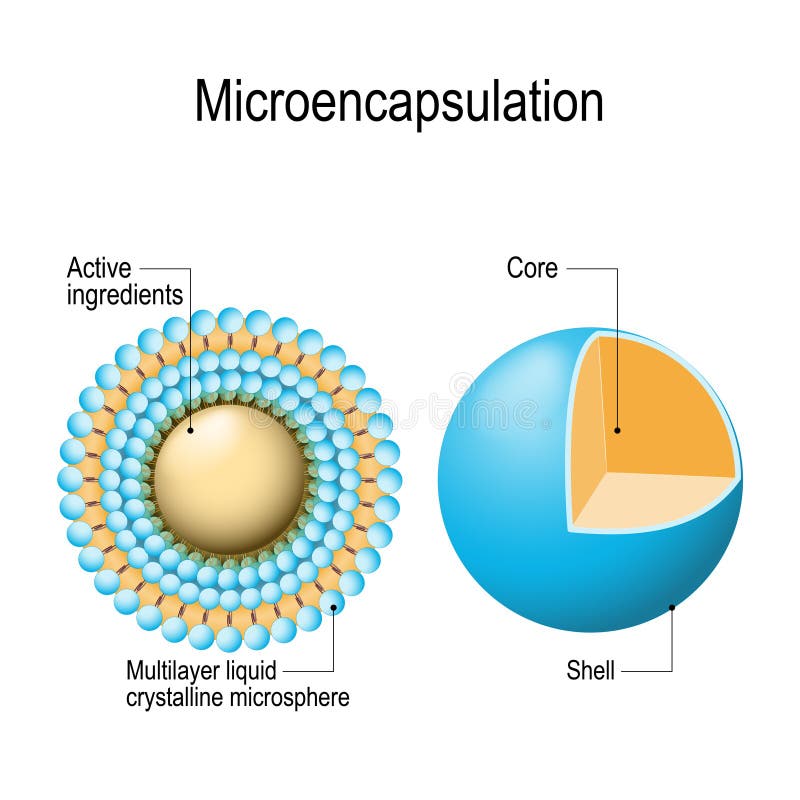 Image result for Microencapsulation