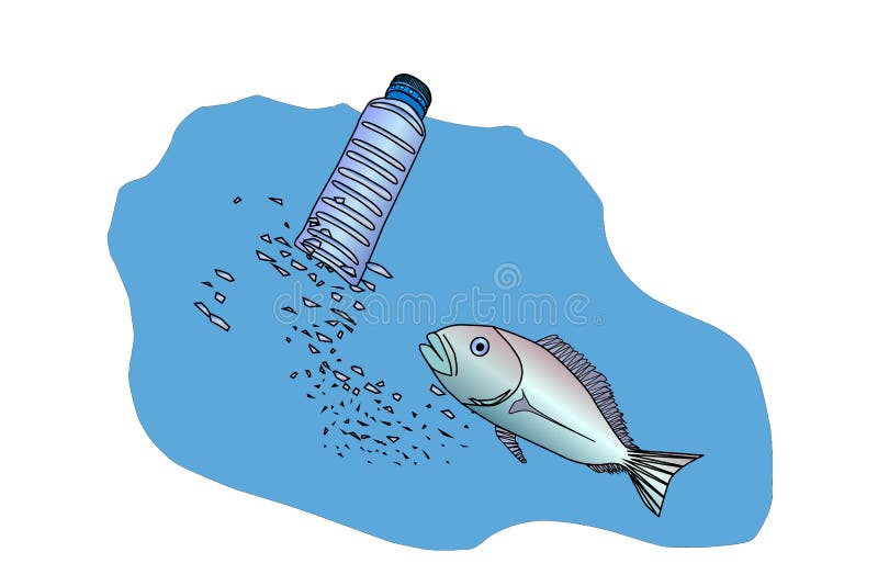 Microplastic Particles in the Water and Inside Fish. Impact of
