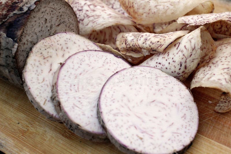 Microprocesadores del taro imagen de archivo