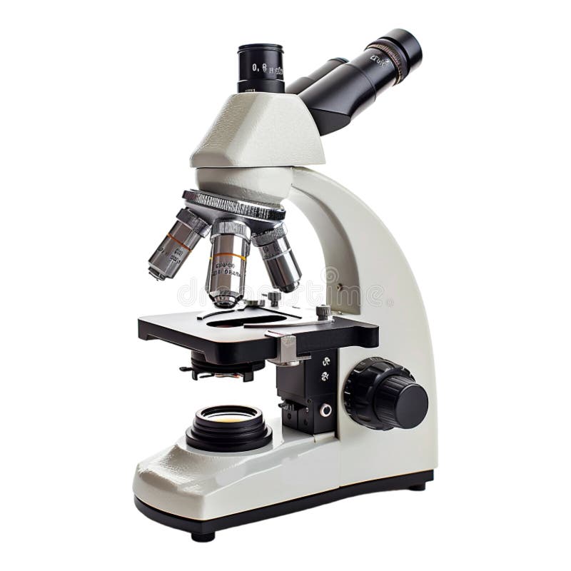 Microscop izolat pe transparent royalty free illustration