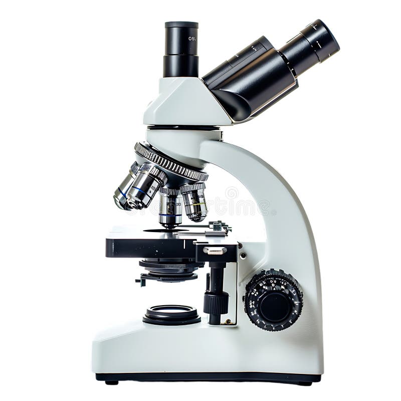 Microscop izolat pe un fond transparent royalty free illustration