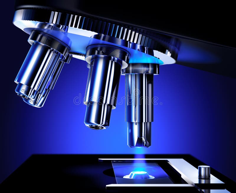 Fluorescence Microscope Image of Human Cells Undergoing Mitosis Stock ... Biology Diagrams