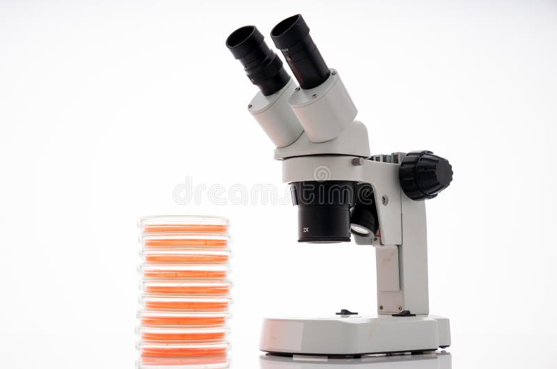Microscope, Petri Dishes in Microbiological Laboratory Stock Photo