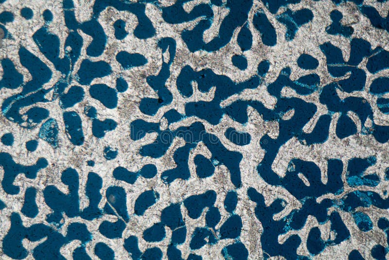 Microscope photo of a petrographic thin section from a recent coral skeleton stock image