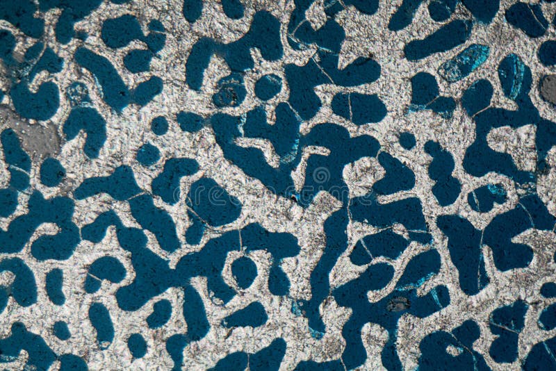 Microscope photo of a petrographic thin section from a recent coral skeleton stock photos