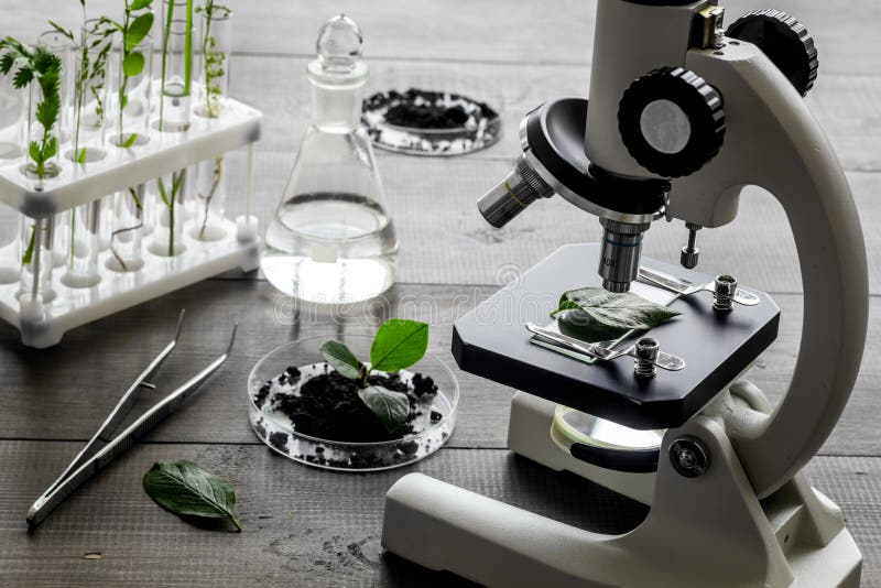 Microscope with plants in biological laboratory. Biological chemistry concept stock photo