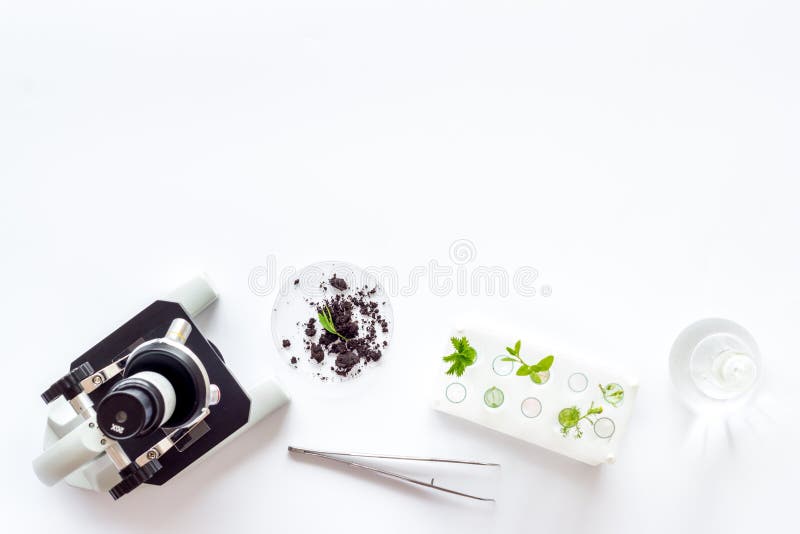 Microscope with plants in biological laboratory. Biological chemistry concept stock images
