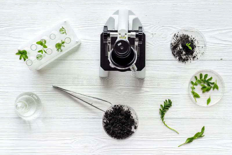 Microscope with plants in biological laboratory. Biological chemistry concept royalty free stock photo