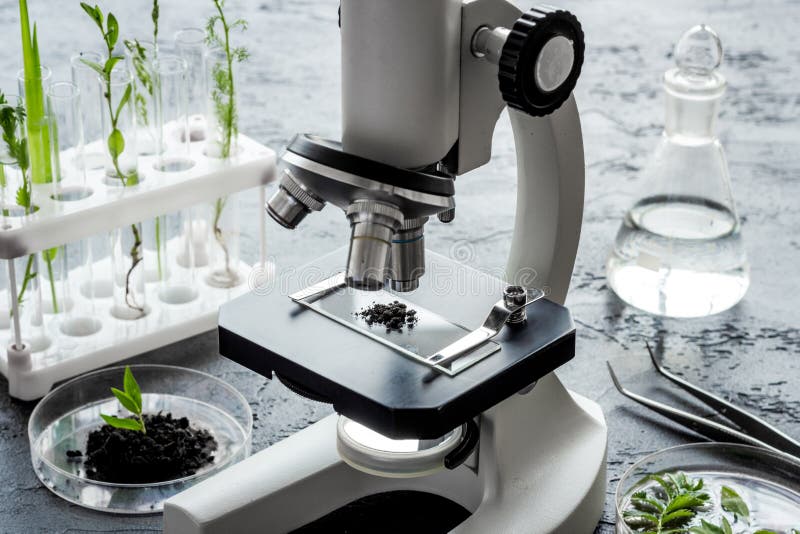 Microscope with plants in biological laboratory. Biological chemistry concept stock photo