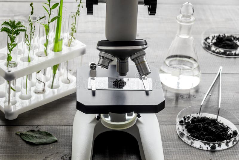 Microscope with plants in biological laboratory. Biological chemistry concept stock image