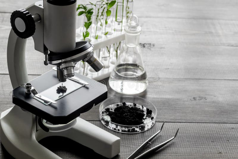 Microscope and plants on a table in scientific laboratory. Agriculture concept stock image