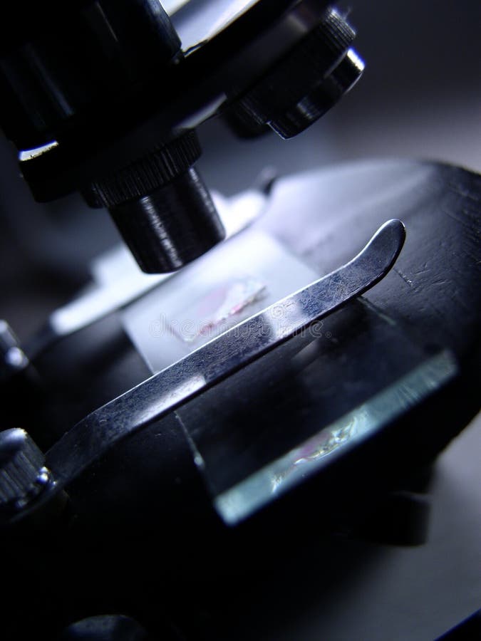 Optický mikroskop pro zkoumání snímku (s načervenalé skvrny).