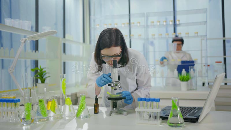 Microscopio de investigación de plantas de laboratorio modernas y tubos de ensayo con científicos de plantas en un abrigo blanco e