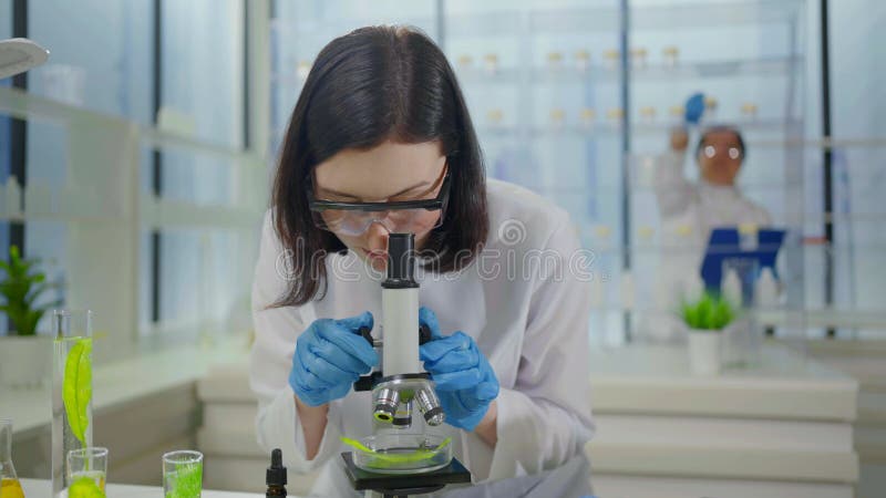 Microscopio de investigación de plantas de laboratorio modernas y tubos de ensayo con científicos de plantas en un retrato blanco