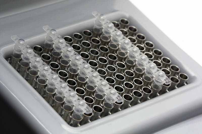 Microtubes im thermocycler lizenzfreies stockbild Microtubes im thermocycler lizenzfreies stockbild