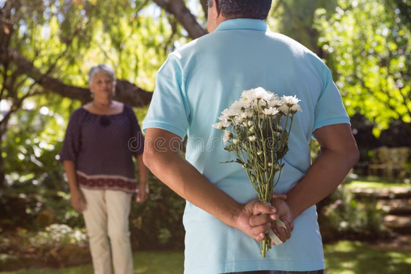 Mid-section of senior men hiding flowers behind back in garden. Mid-section of senior men hiding flowers behind back in garden