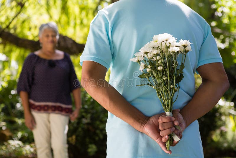 Mid-section of senior men hiding flowers behind back in garden. Mid-section of senior men hiding flowers behind back in garden