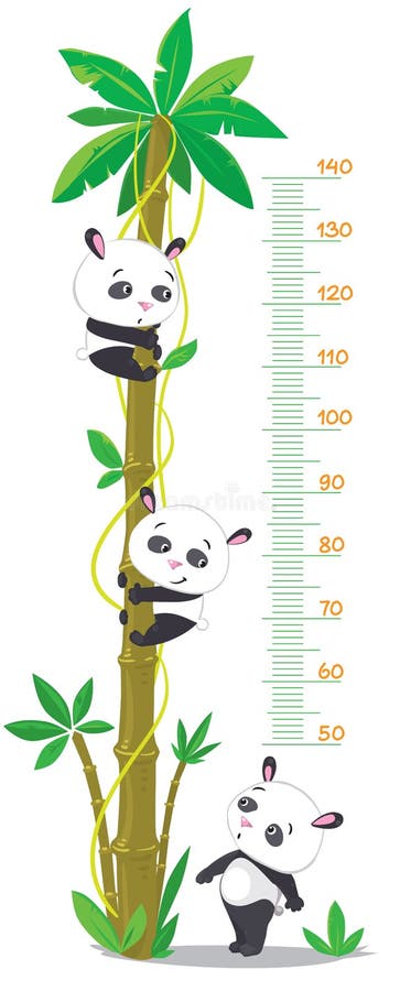 Mida la pared con la palmera y tres pandas divertidas libre illustration Mida la pared con la palmera y tres pandas divertidas libre illustration