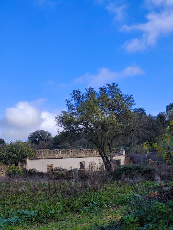 Middeleeuws dorp stock foto