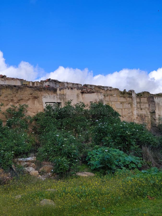 Middeleeuws dorp royalty-vrije stock afbeelding