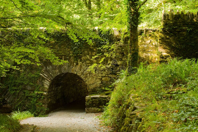 Middeleeuwse brug in het bos royalty-vrije stock foto's
