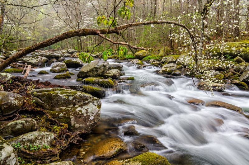 Middenriek van de Kleine Rivier, Great Smoky Mountains stock foto's Middenriek van de Kleine Rivier, Great Smoky Mountains stock foto's
