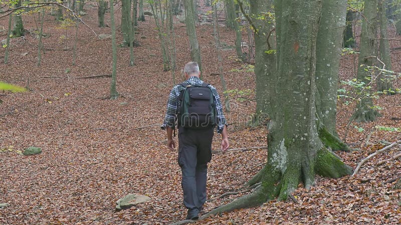 Middle aged man in the autumn forest take a hike