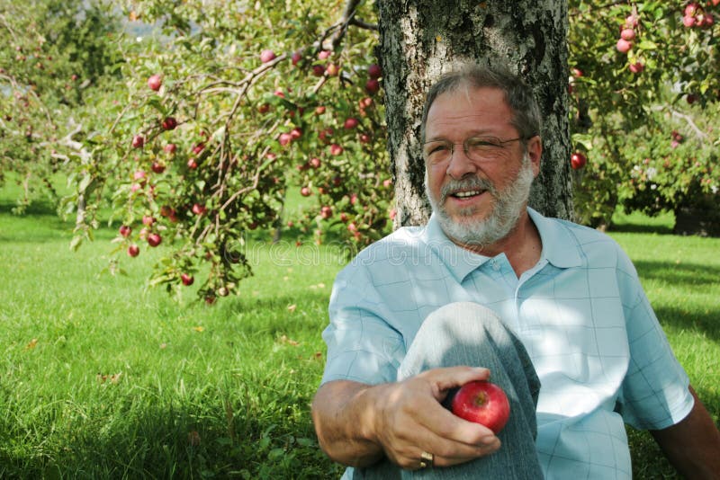 De medio viejo hombre bigote sobre el países árbol de manzana en manzana Huerta, posesión maduro manzana feliz cálido rechazar por la tarde.