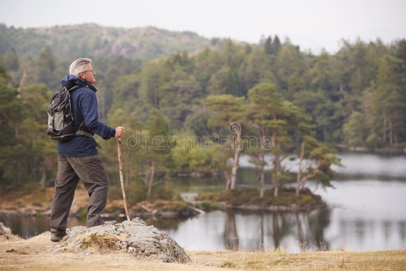 Middle aged man standing on a rock admiring the view of a lake, side view, Lake District, UK stock photos Middle aged man standing on a rock admiring the view of a lake, side view, Lake District, UK stock photos