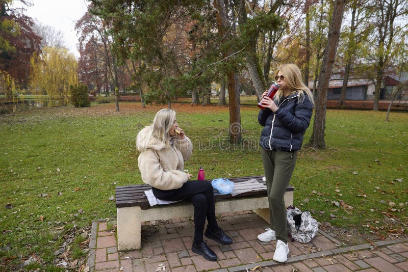 Woman and her friend are talking and drinking coffee in the park on a bench stock images