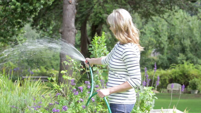 Middle Aged Woman Watering Garden With Hosepipe