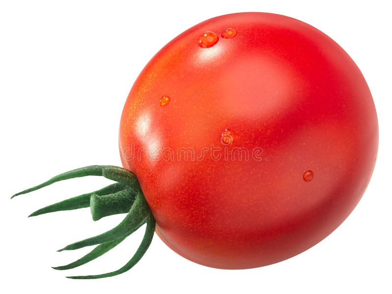 Middle Globe Heirloom Tomato Isolated Stock Photo Image of solanum