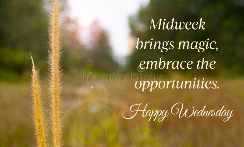 Midweek brings magic, embrace the opportunities. Happy Wednesday greetings.