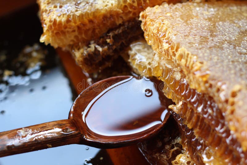 Fresh honey on a wooden spoon. Fresh honey on a wooden spoon