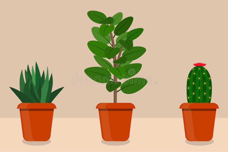 Mieszkanie pokoju stylowe rośliny w garnkach, ilustracja Kaktus, aloes Vera, ficus ilustracji