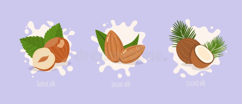 Migdał, hazelnut i kokosowy mleko, plusk mleka również zwrócić corel ilustracji wektora ilustracja wektor Migdał, hazelnut i kokosowy mleko, plusk mleka również zwrócić corel ilustracji wektora ilustracja wektor