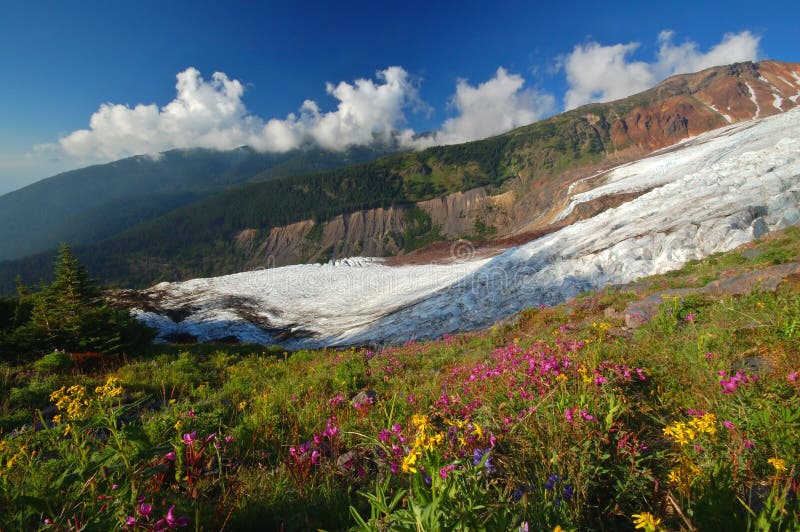 Mighty glacier in summer