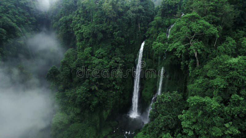 Mighty water flow of Sekumpul waterfall in Bali, Indonesia. Big tall waterfal