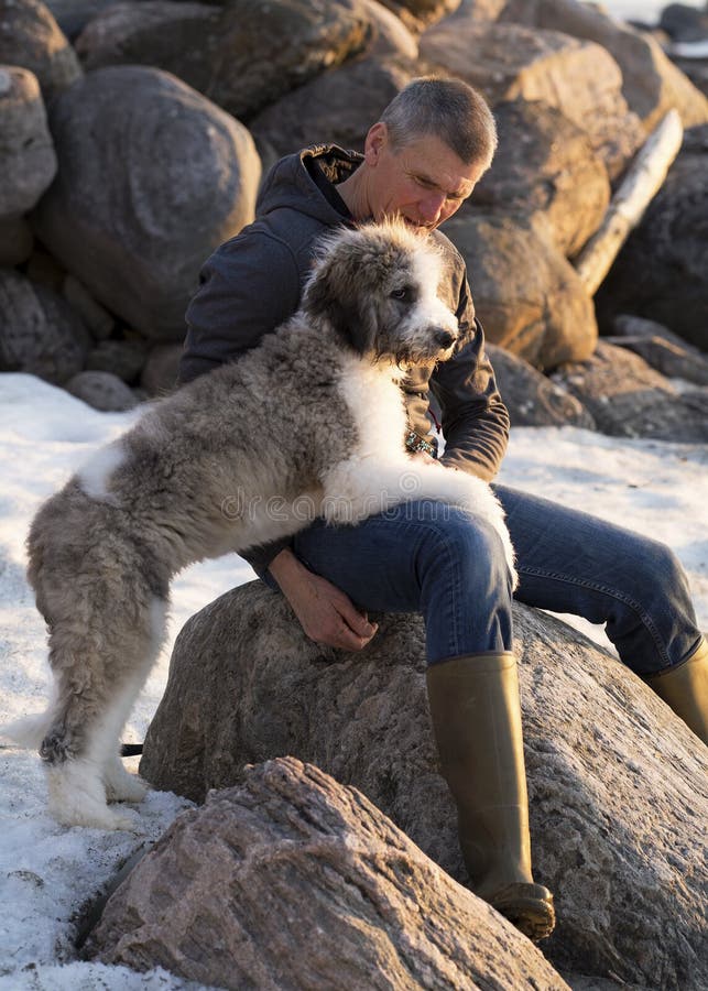 Migliore amico del ` s dell'uomo Legando con un cucciolo immagini stock libere da diritti Migliore amico del ` s dell'uomo Legando con un cucciolo immagini stock libere da diritti