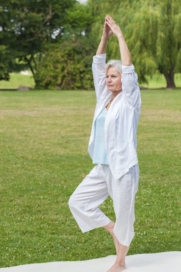 Migliori donne del ager che praticano 'chi' del tai della formica di yoga immagini stock Migliori donne del ager che praticano 'chi' del tai della formica di yoga immagini stock